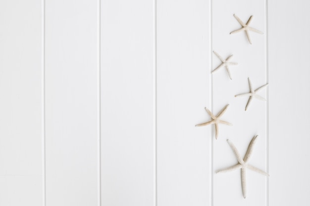 Free photo beautiful starfish over nice white wooden background