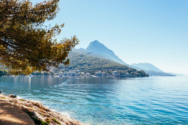 Beautiful still lake with trees and mountain