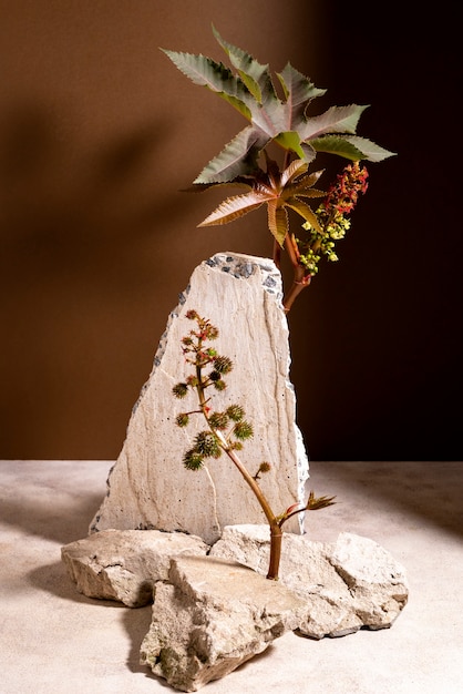 Beautiful still life with herbal medicine