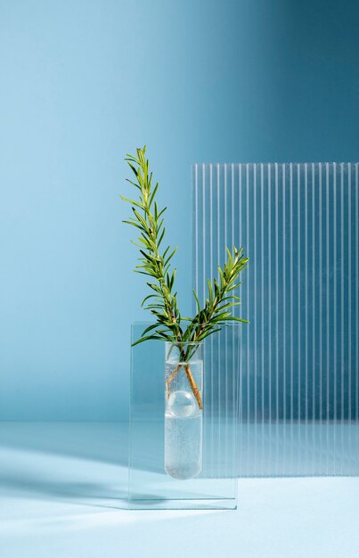 Beautiful still life with herbal medicine