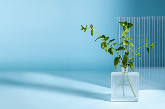 Free photo beautiful still life with herbal medicine