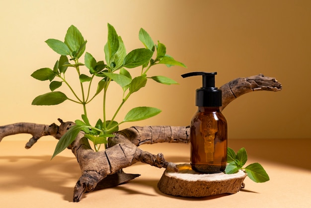 Beautiful still life with herbal medicine