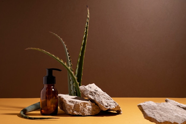 Beautiful still life with herbal medicine