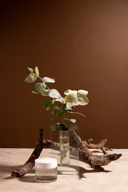 Free photo beautiful still life with herbal medicine
