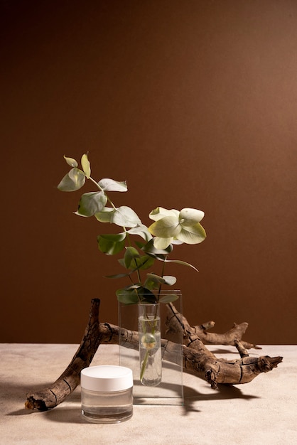 Beautiful still life with herbal medicine