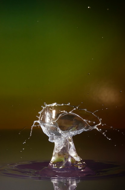 Foto gratuita bella natura morta con acqua