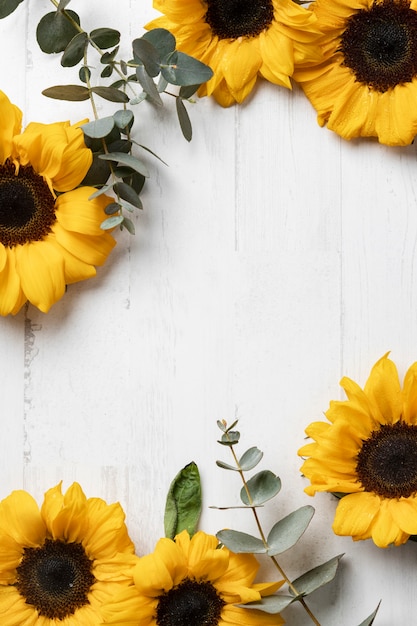 Beautiful sunflower frame top view