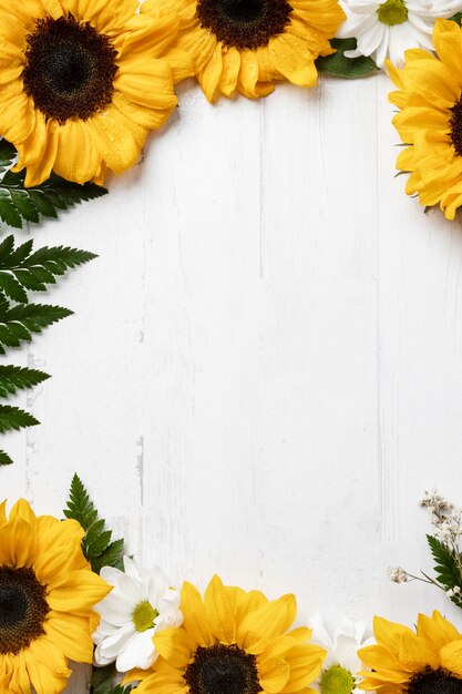 Beautiful sunflower frame above view