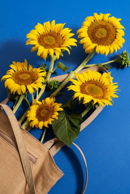 Foto gratuita bellissimi girasoli in studio ancora in vita