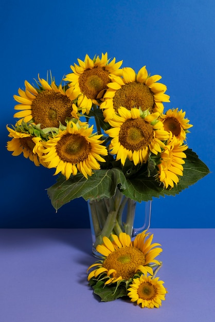 Foto gratuita bellissimi girasoli in studio ancora in vita