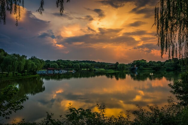 Beautiful sunset over the forest lake
