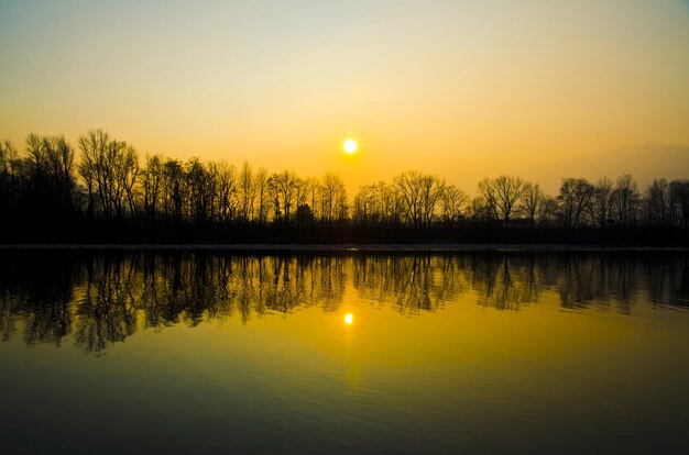水に映る木のシルエットと湖の美しい夕日の風景