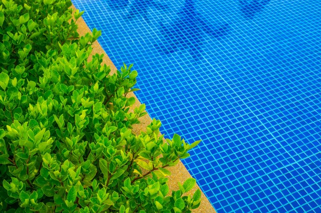 Beautiful Swimming pool in hotel pool resort .