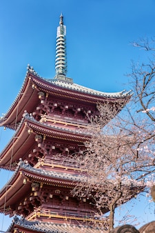 桜​の​花​、​青い​空​、​晴れ​の​美しい​背​の​高い​塔