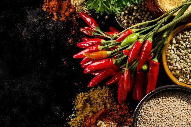 아름다운 맛있는 식욕을 돋 우는 재료 향신료 건강 한 부엌 요리를위한 빨간 고추 고추 식료품.