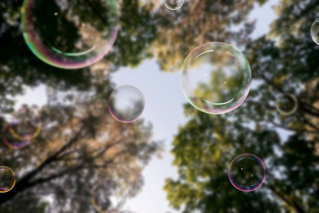 Beautiful trees landscape and soap bubbles