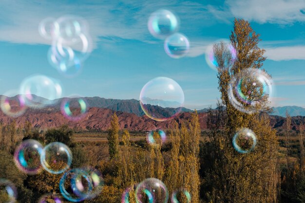 Beautiful trees landscape and soap bubbles