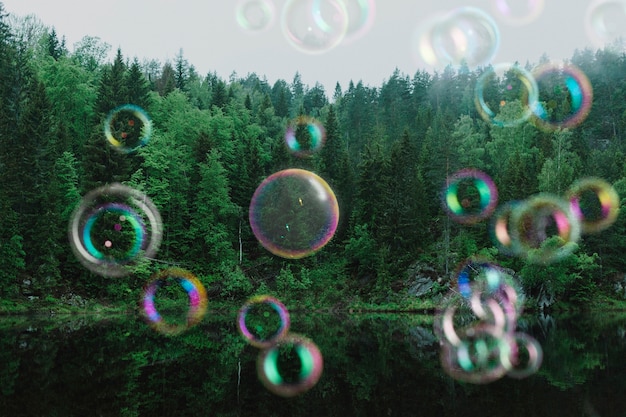 Foto gratuita bellissimo paesaggio di alberi e bolle di sapone