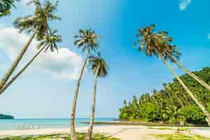 Бесплатное фото Красивый тропический пляж и море