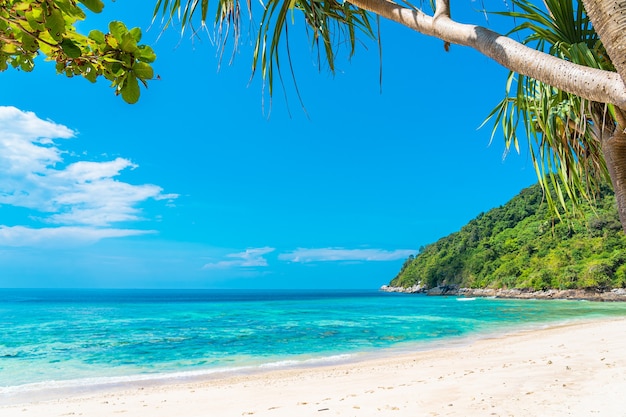 Free Photo beautiful tropical beach sea ocean with coconut and other tree around white cloud on blue sky