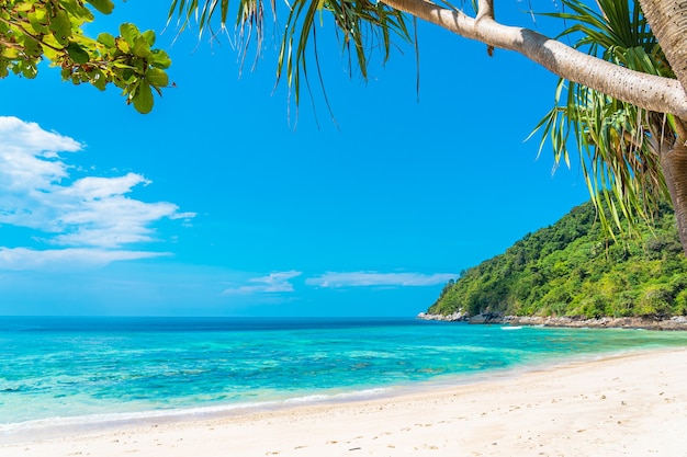 Красивый тропический пляж морской океан с кокосом и другим деревом вокруг белого облака на голубом небе