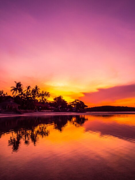 Beautiful tropical beach sea and ocean with coconut palm tree at sunrise time