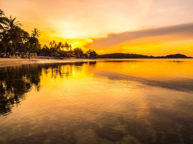 Beautiful tropical beach sea and ocean with coconut palm tree at sunrise time