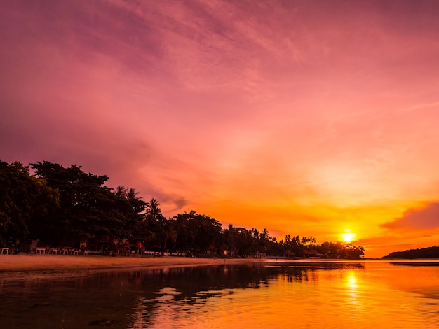 Beautiful tropical beach sea and ocean with coconut palm tree at sunrise time