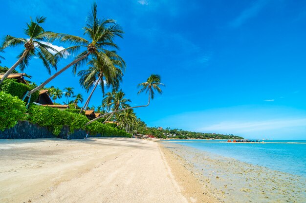 푸른 하늘과 흰 구름에 코코넛 야자수와 아름다운 열대 해변 바다와 모래