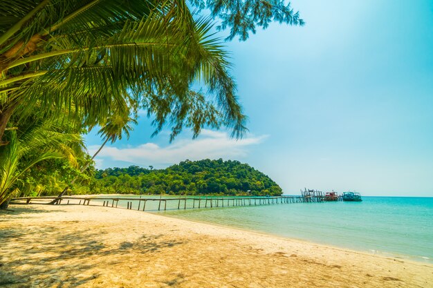 美しい熱帯のビーチとパラダイス島のヤシの木と海