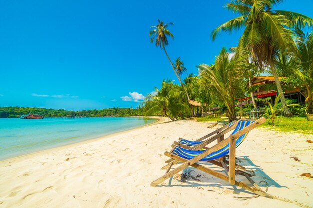 Beautiful tropical beach and sea with coconut palm tree in paradise island 