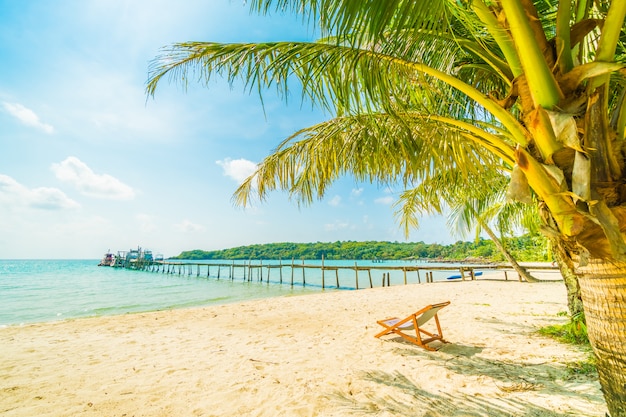 Beautiful tropical beach and sea with coconut palm tree in paradise island 