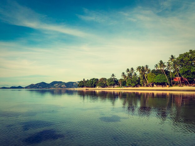 코코넛 야자수와 아름 다운 열 대 해변과 바다