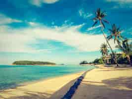 Foto gratuita bellissima spiaggia tropicale e mare con palme da cocco