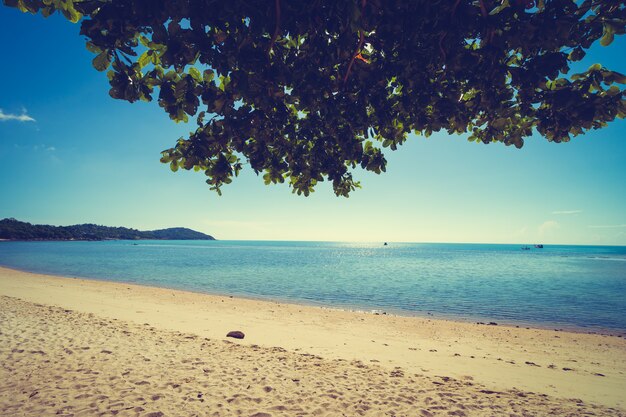 Beautiful tropical beach and sea with white cloud on blue sky