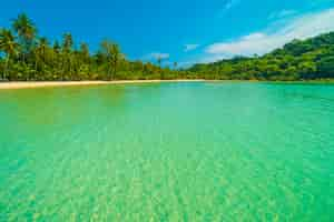 Foto gratuita bellissima spiaggia tropicale e mare