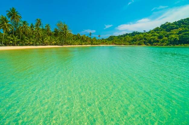 Beautiful tropical beach and sea 