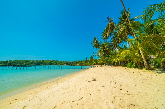 Beautiful tropical beach and sea 