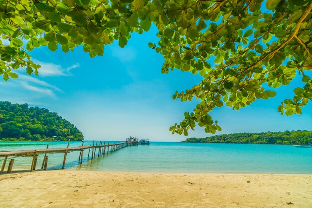 Beautiful tropical beach and sea 