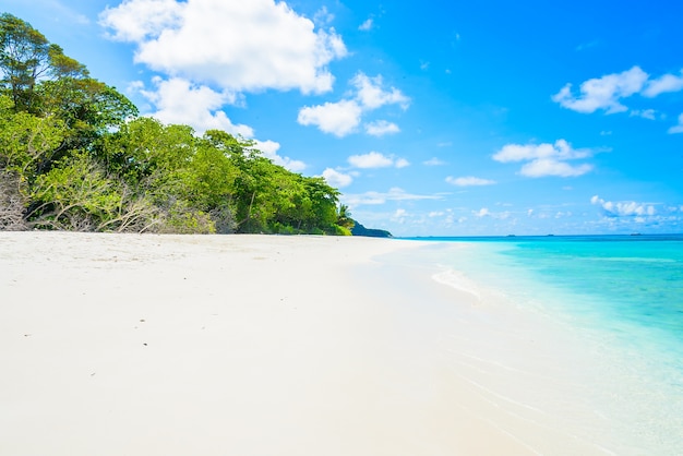 Foto gratuita bella spiaggia tropicale