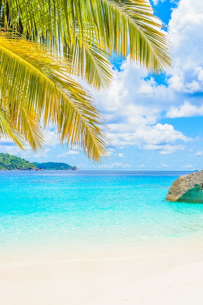 Free photo beautiful tropical beach