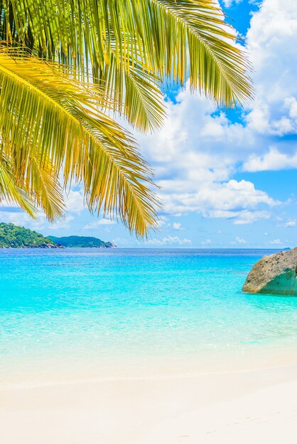 Beautiful tropical beach