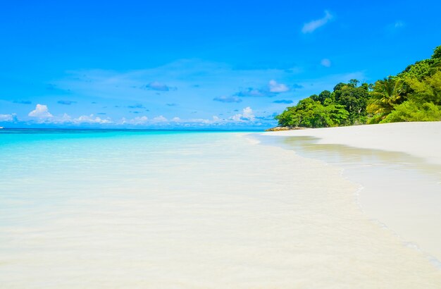 Beautiful tropical beach