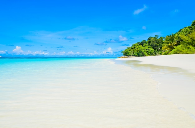 Beautiful tropical beach