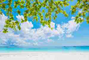 Free photo beautiful tropical beach