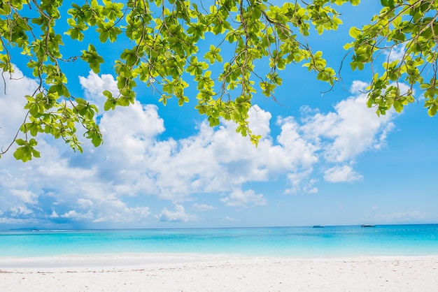 Free Photo beautiful tropical beach