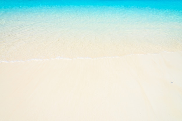 無料写真 美しいトロピカルビーチ