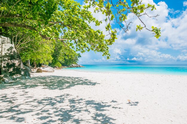 Beautiful tropical beach