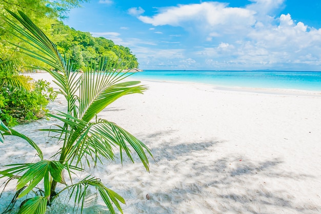 Free photo beautiful tropical beach