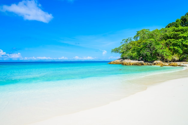 Free photo beautiful tropical beach